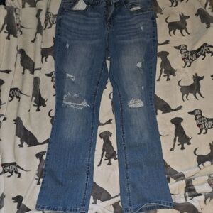 Classic Blue Distressed Women Jeans